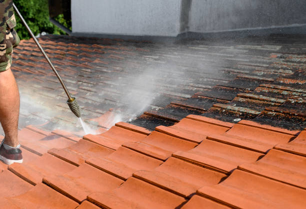  Clemson, SC Pressure Washing Pros
